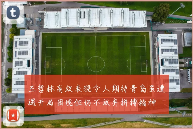 王哲林高效表现令人期待青岛虽遭遇开局困境但仍不放弃拼搏精神