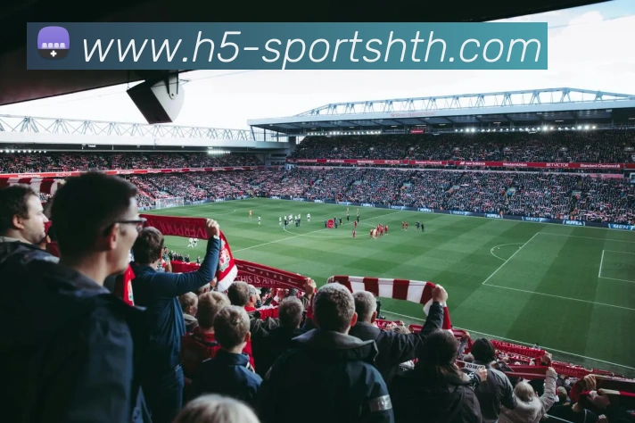 华体会体育APP 封面图